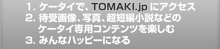 TOMAKI.jp�ɃA�N�Z�X